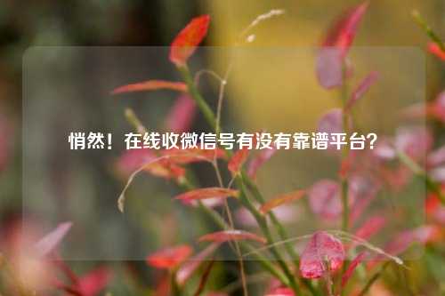 悄然!在线收微信号有没有靠谱平台?