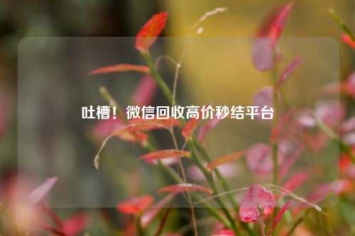 吐槽！微信回收高价秒结平台