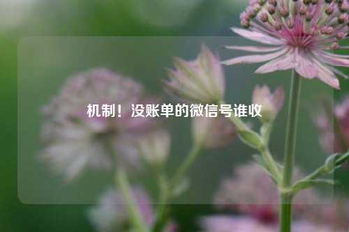 机制!没账单的微信号谁收