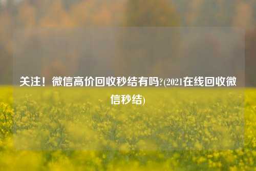 关注!微信高价回收秒结有吗?(2021在线回收微信秒结)