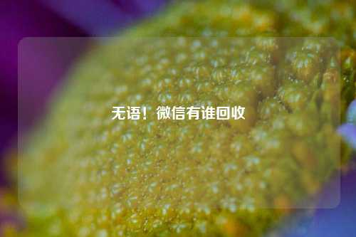 无语！微信有谁回收