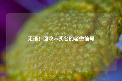 无语！回收未实名的老微信号