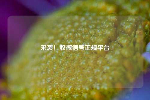 来袭！收微信号正规平台