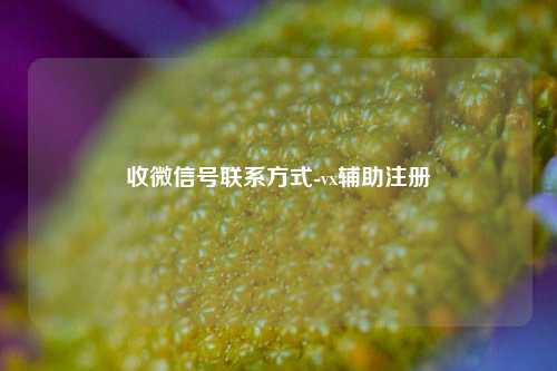 收微信号联系方式-vx辅助注册