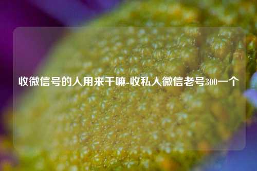 收微信号的人用来干嘛-收私人微信老号300一个