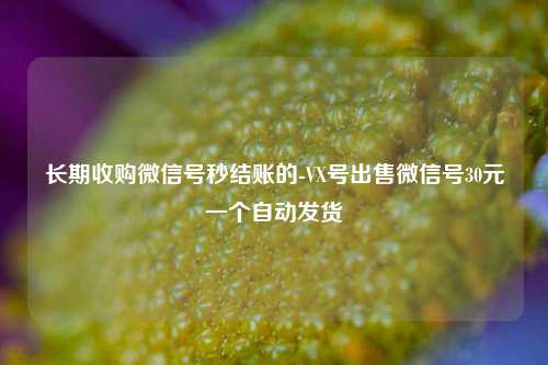 长期收购微信号秒结账的-VX号出售微信号30元一个自动发货