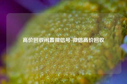 高价回收闲置微信号-微信高价回收