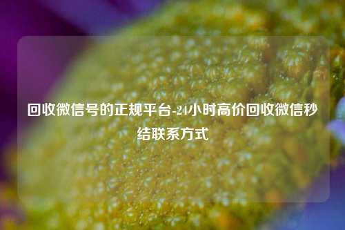 回收微信号的正规平台-24小时高价回收微信秒结联系方式