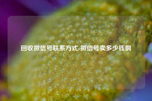 回收微信号联系方式-微信号卖多少钱啊