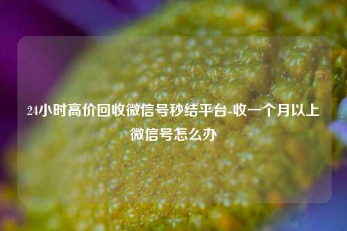 24小时高价回收微信号秒结平台-收一个月以上微信号怎么办
