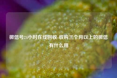 微信号24小时在线回收-收购三个月以上的微信有什么用