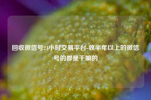 回收微信号24小时交易平台-收半年以上的微信号的都是干嘛的
