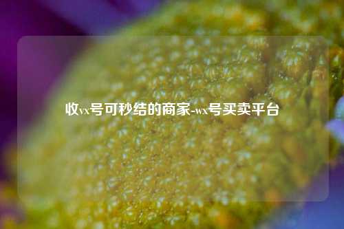 收vx号可秒结的商家-wx号买卖平台