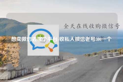 想卖微信去哪个平台-收私人微信老号300一个